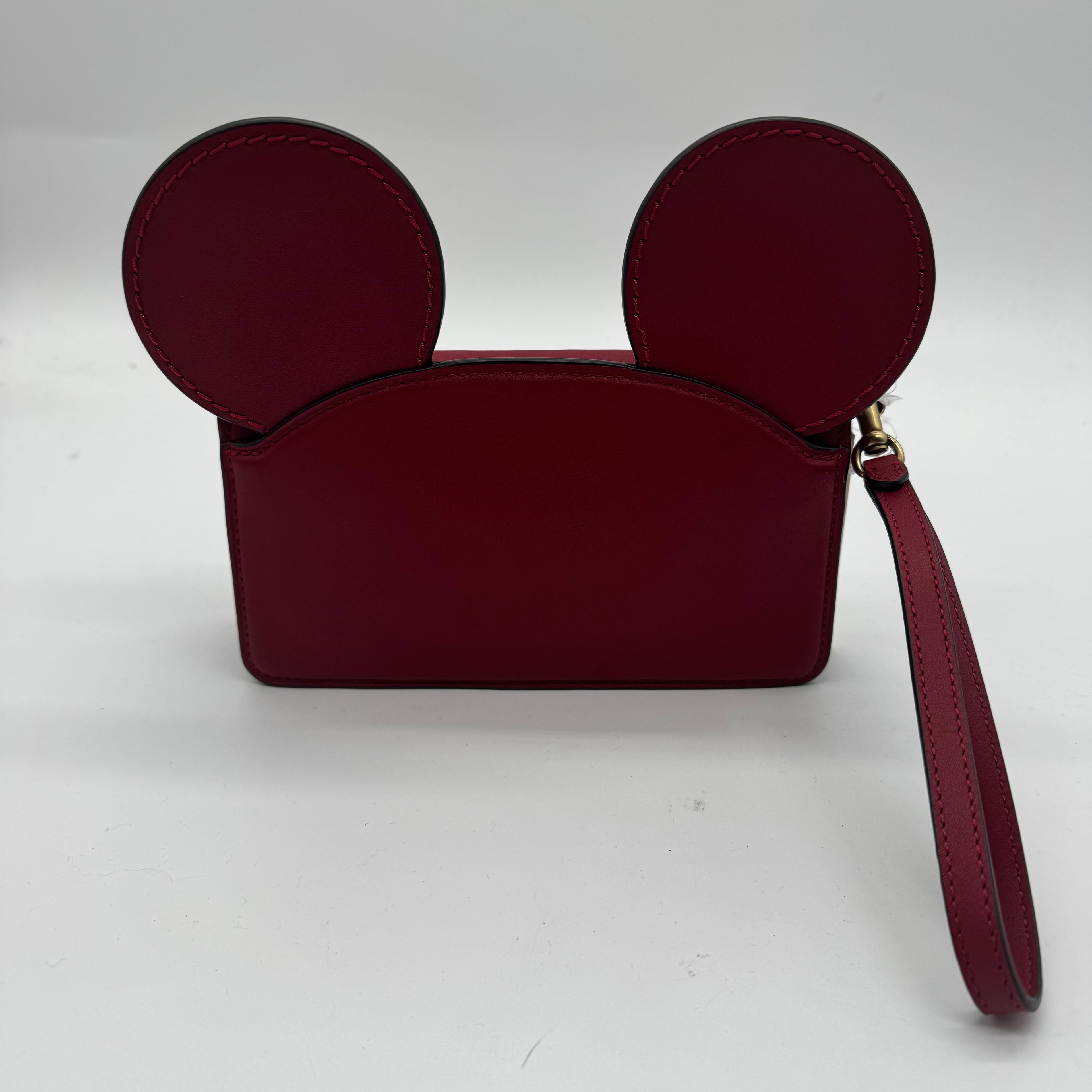 Coach x Disney Tabby