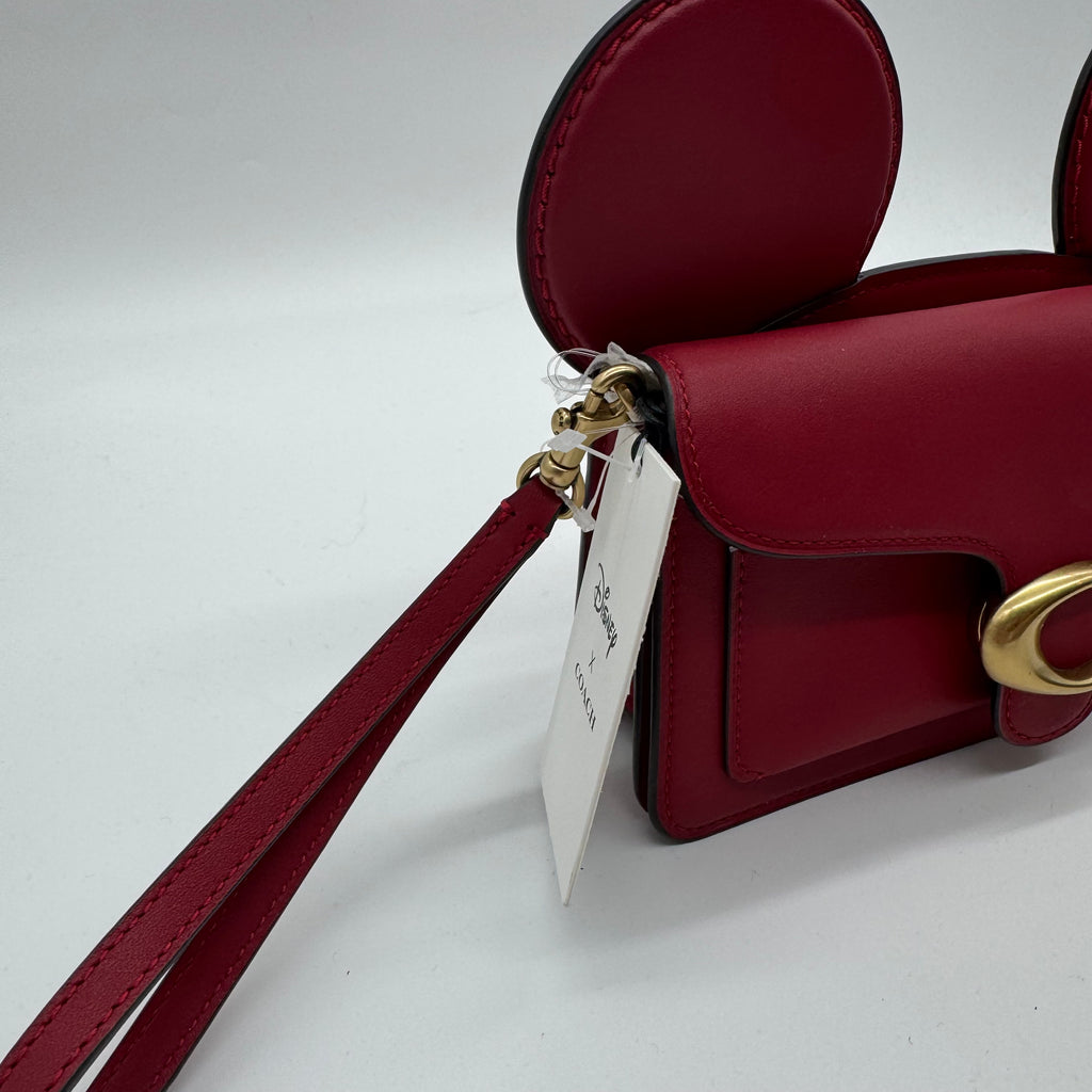 Coach x Disney Tabby