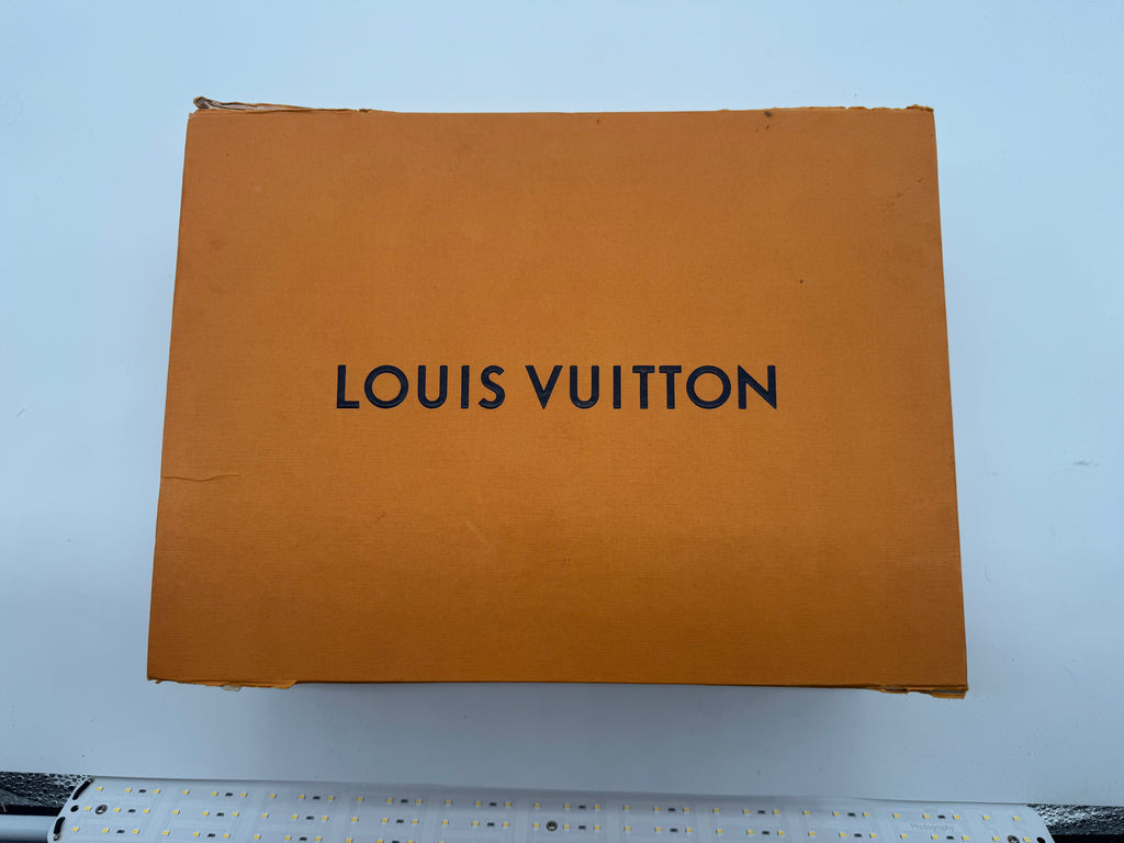 Louis Vuitton Run Away Sneakers