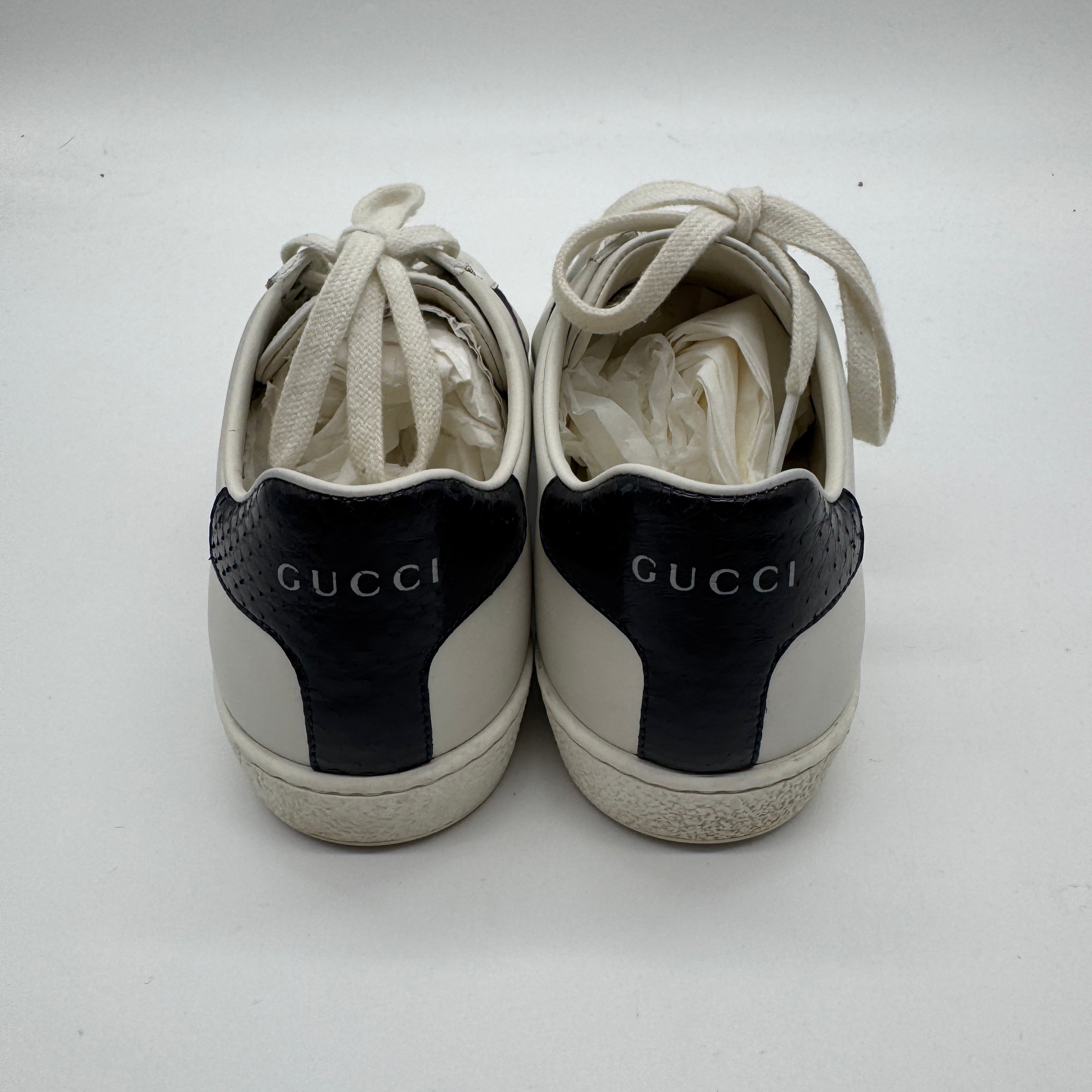 Gucci White Leather Ace