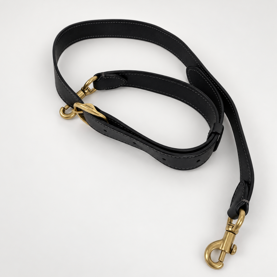 Coach Teri Hobo Bag in Black Leather – Gold-Tone Hardware